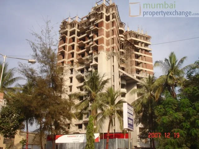 19 Dec 2007