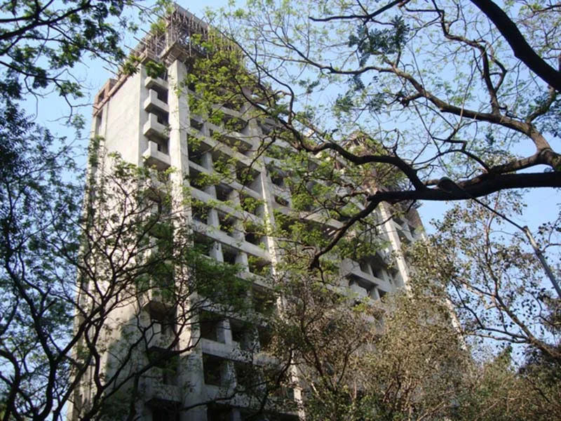 Main Image