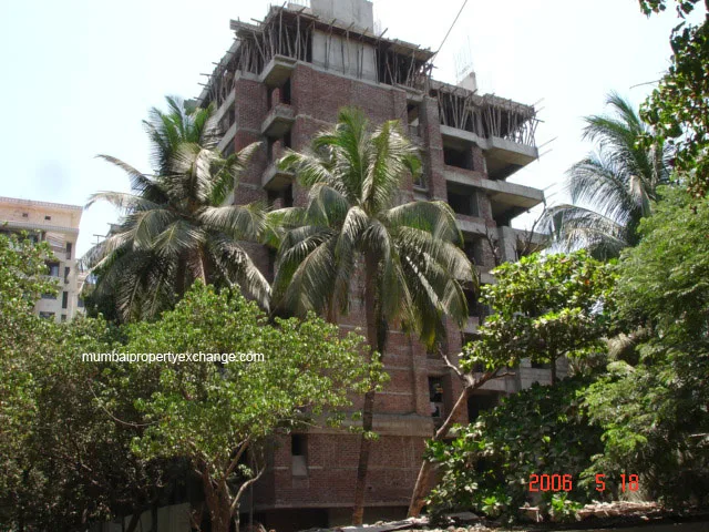 19 May 2006