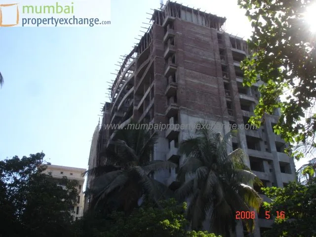 19 May 2008