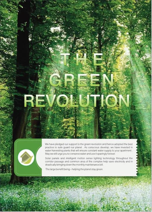 Dharti Pressido Image-6