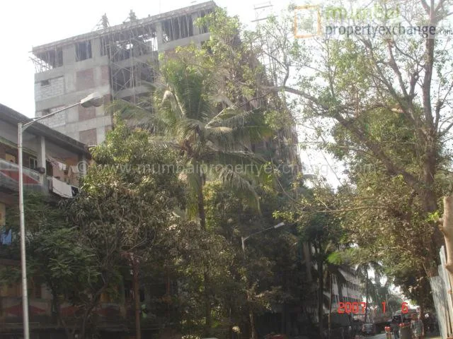 5 January 2007