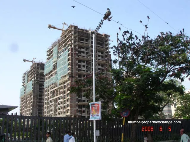 5 June 2006