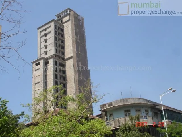 15 March 2007
