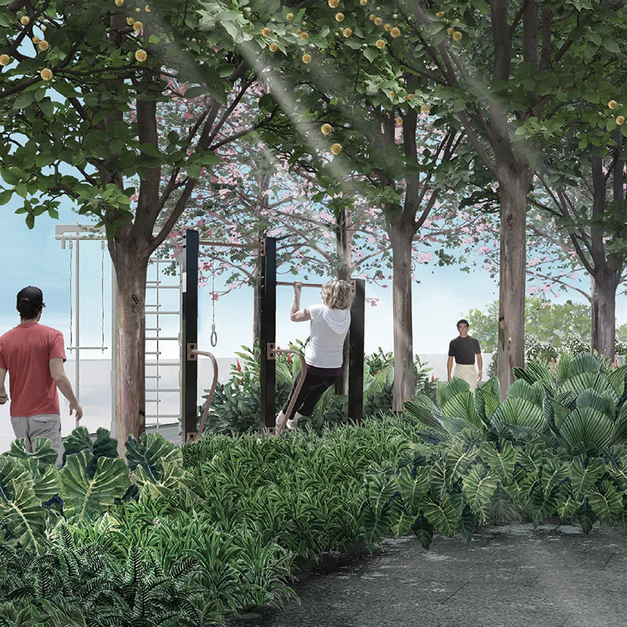 Outdoor Activities -The Park