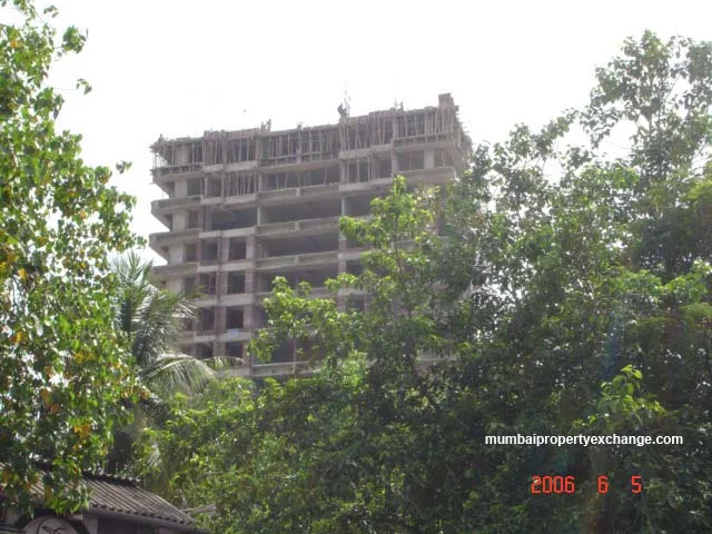 5 June 2006