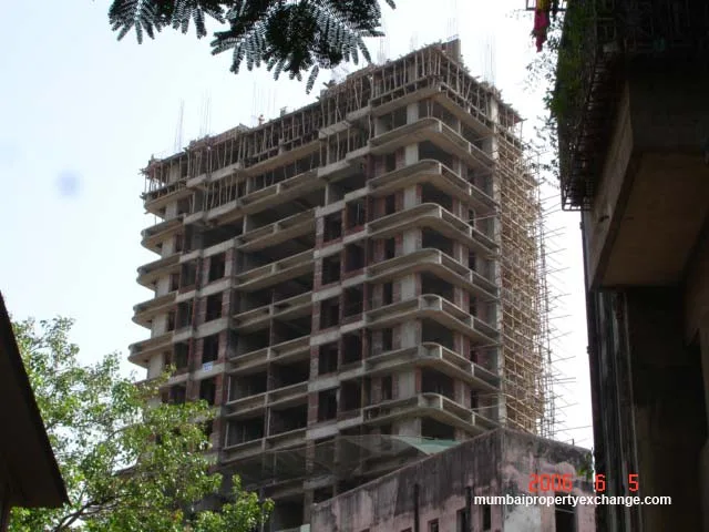 5 June 2006