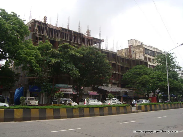 18 July 2009