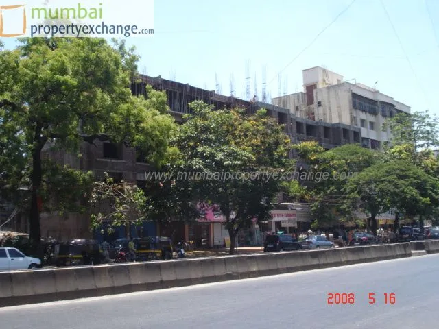 19 May 2008