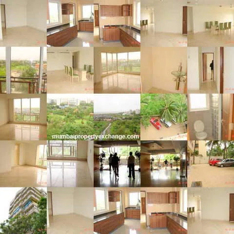 collage