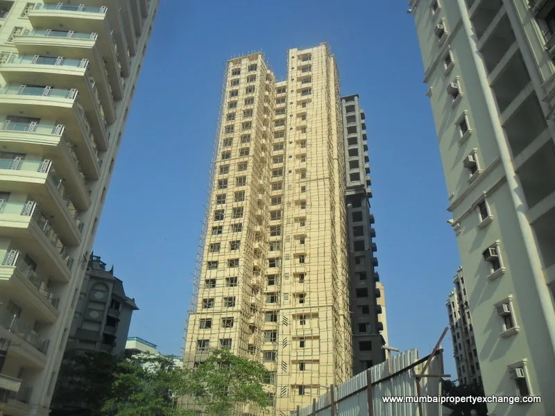 25 March 2011