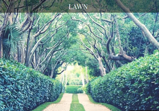 Kalpataru Yashodhan Lawn