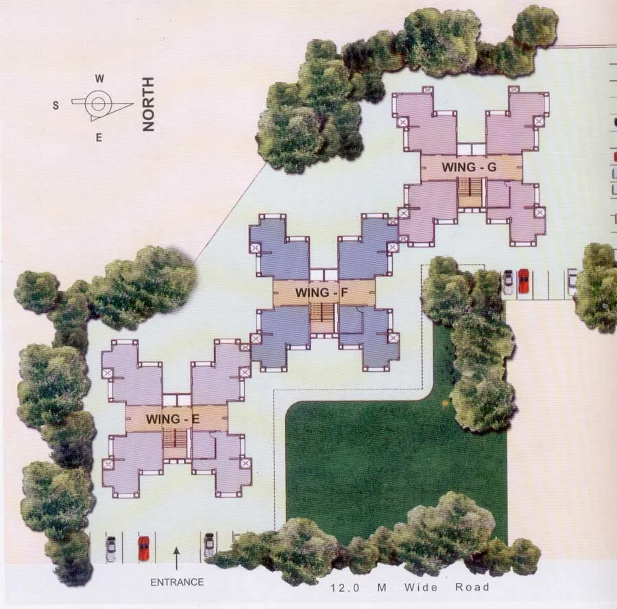 Layout