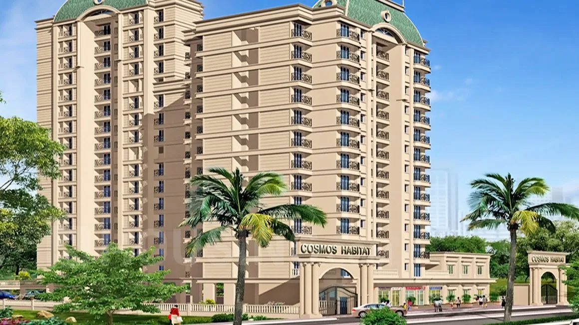Main Image