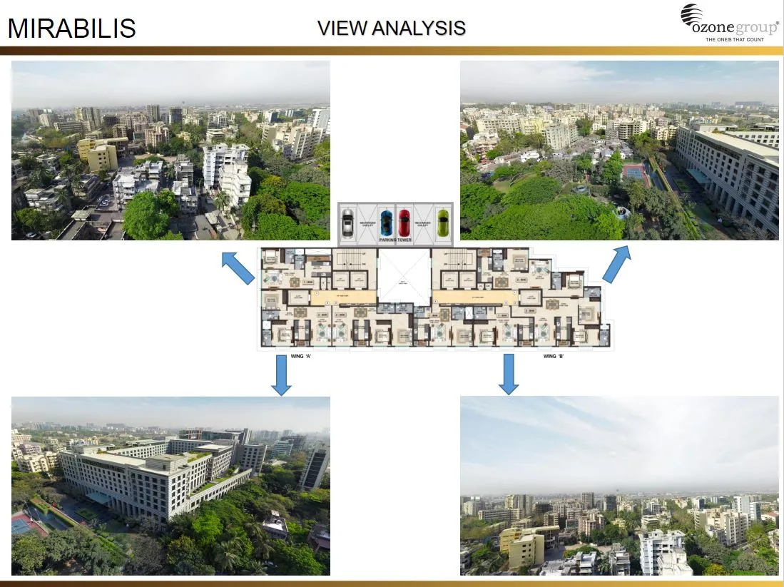 Mirabilis View Analysis
