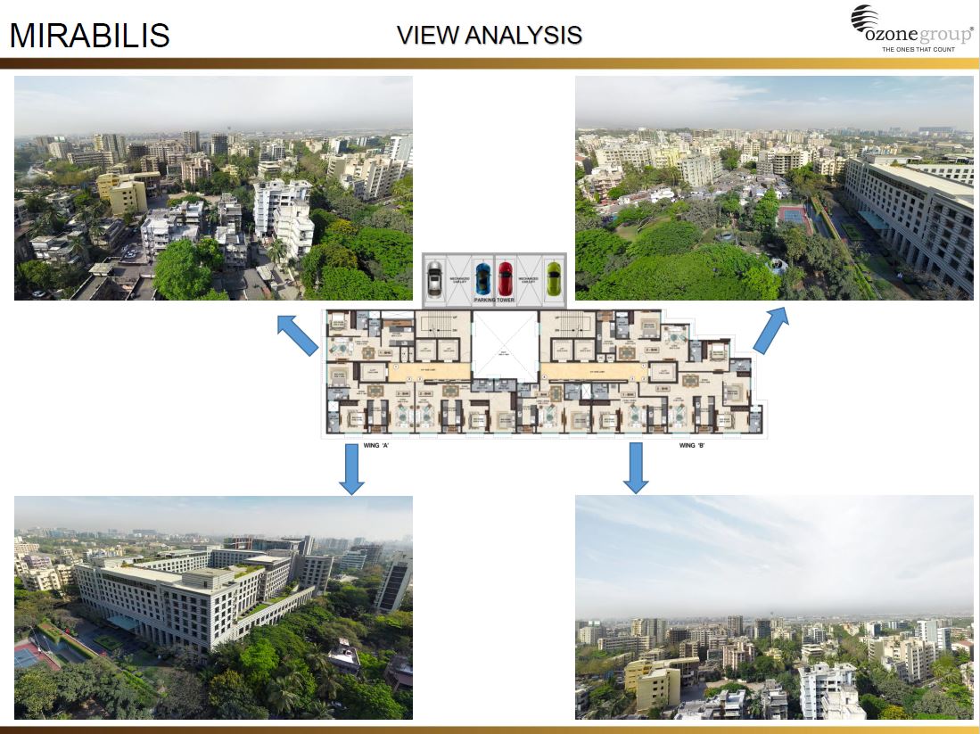 Mirabilis View Analysis