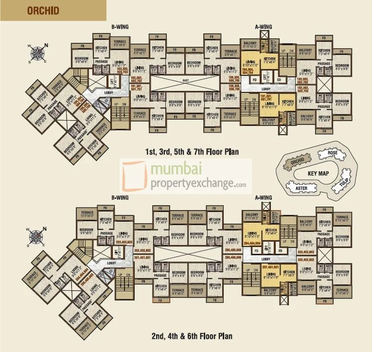 Orchid floorplan — photo 2