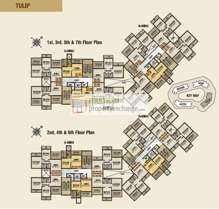 Tulip floorplan — photo 4