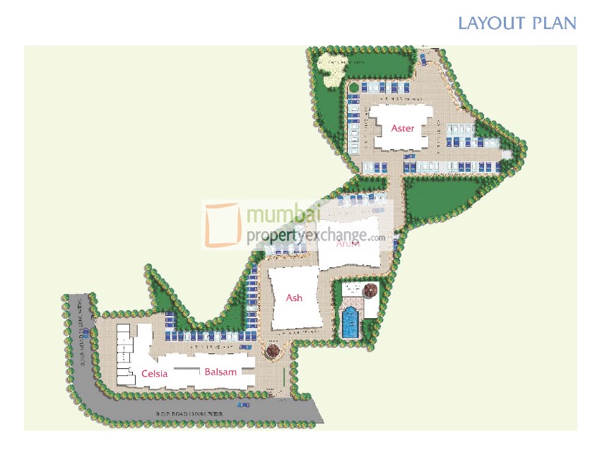 Layout Plan