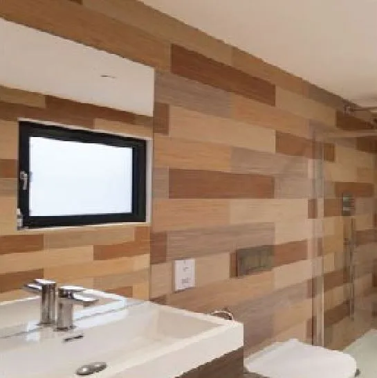 Bath room plan