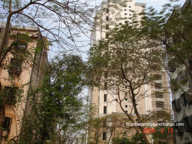 13 February 2006