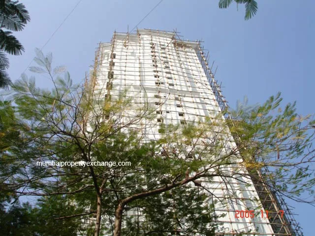 7 Nov 2005 — photo 3
