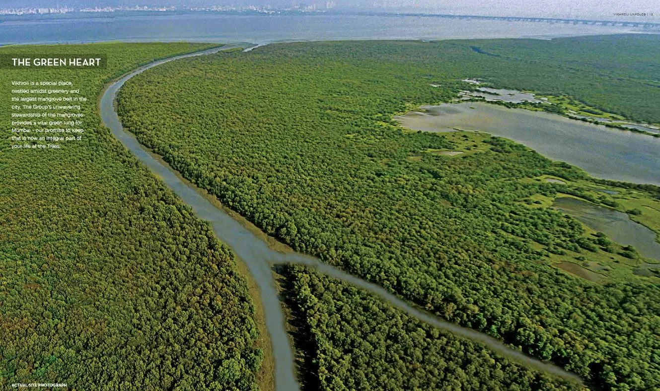 4 Godrej Trees Vikhroli Mangroves 2 — photo 10