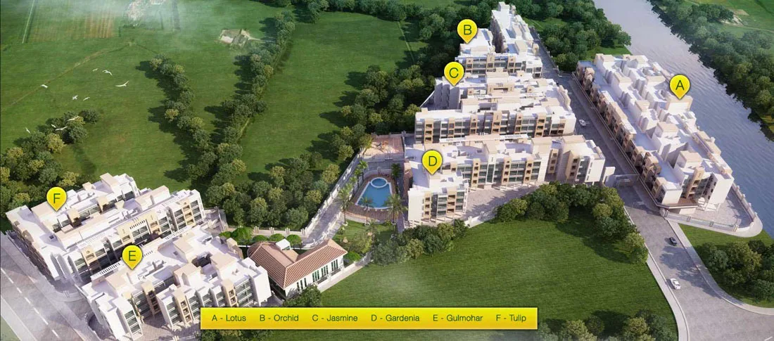 Main Image