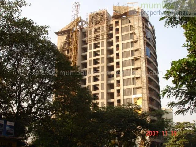 19 Nov 2007
