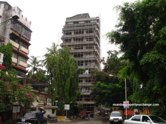 31 May 2006