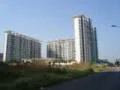 25 Feb 2009
