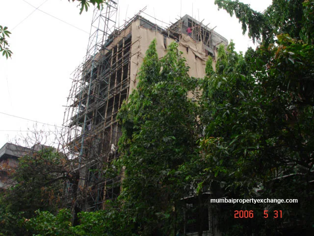 31 May 2006