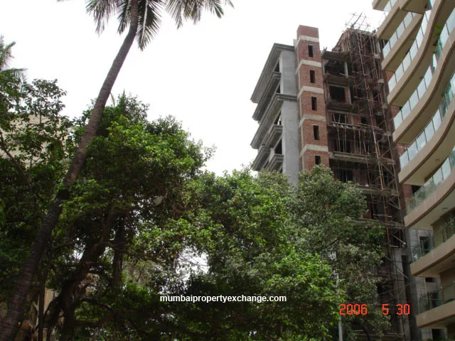 31 May 2006