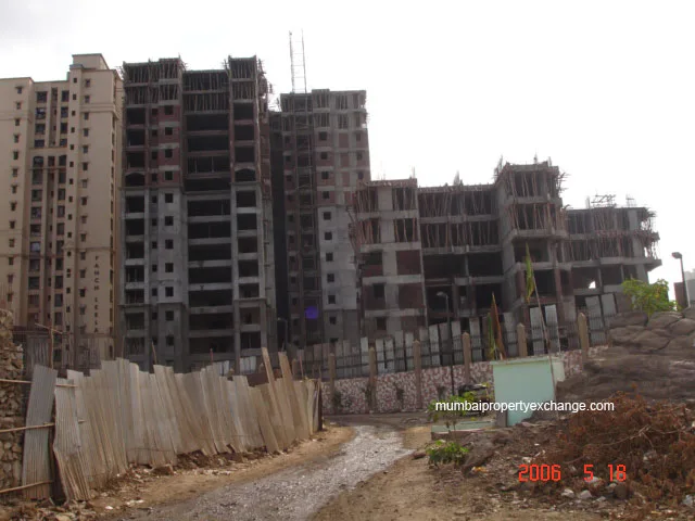 19 May 2006