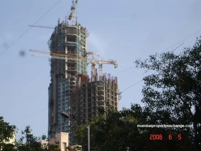 5 June 2006