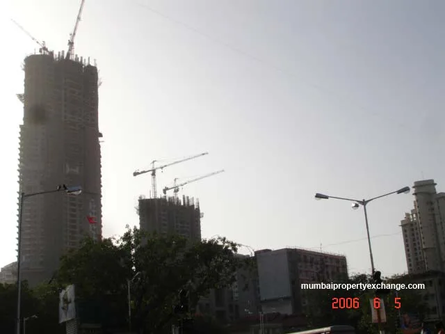 5 June 2006