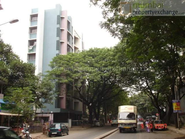 Main Image