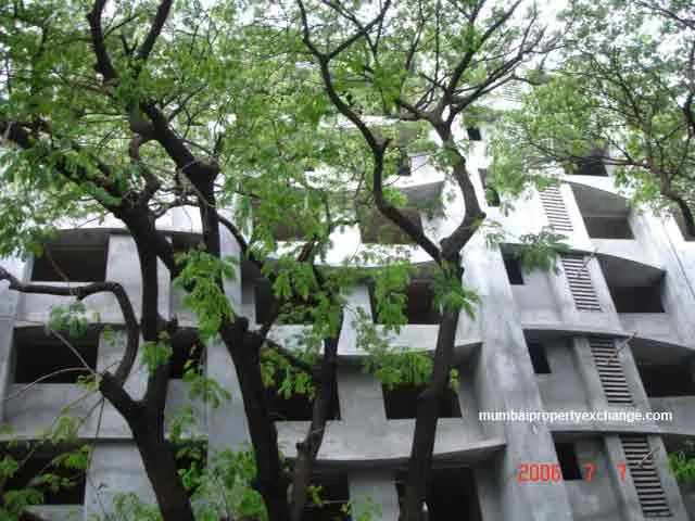 22 August 2006