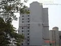11 Feb 2009