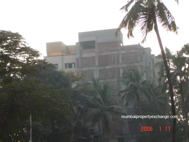 17th Jan 2006