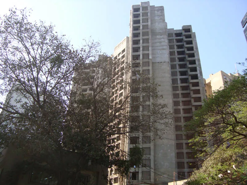 11 Feb 2009