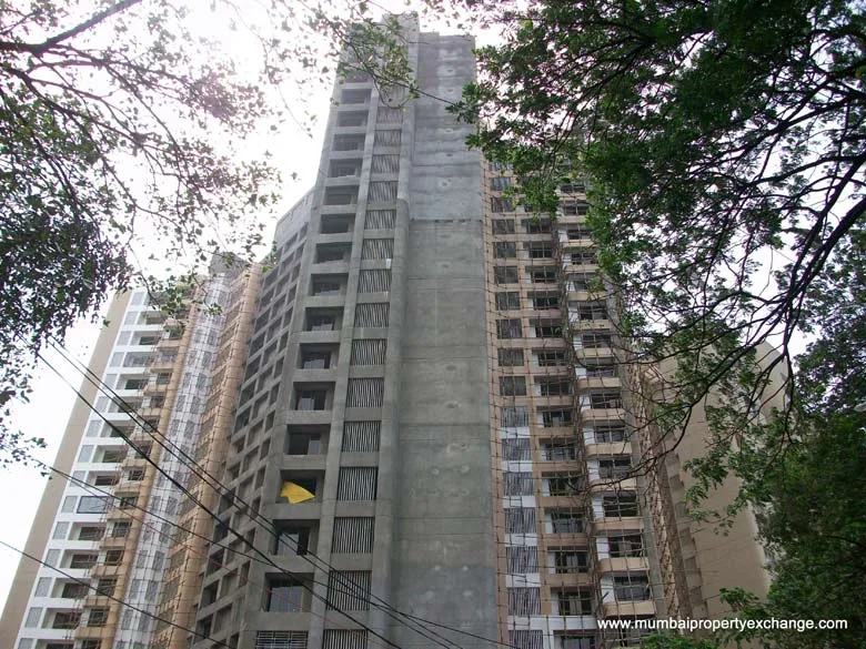 20 July 2009