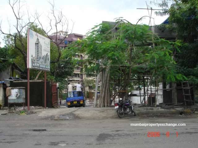 1st August 2006