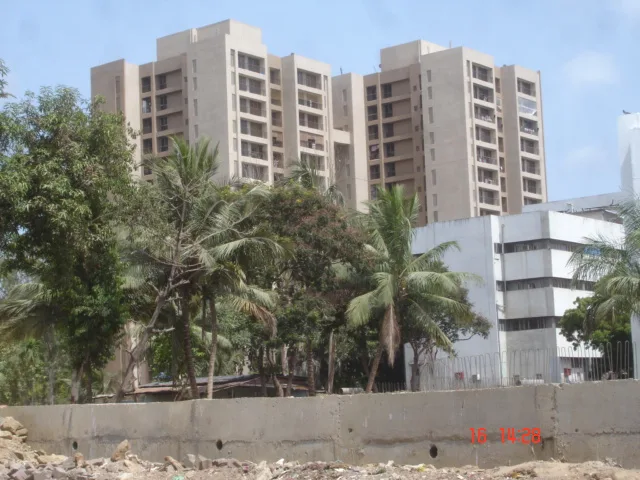 15 June 2009
