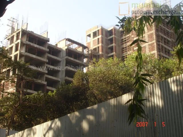 5 January 2007