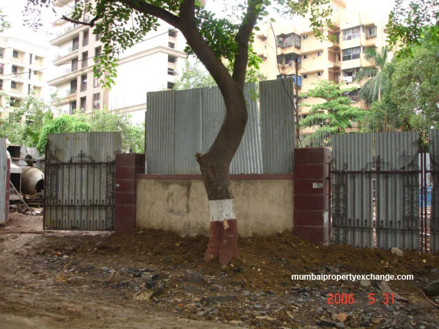 31 May 2006