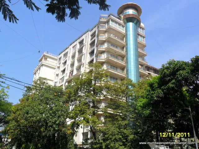 11th Nov 2011 — photo 4