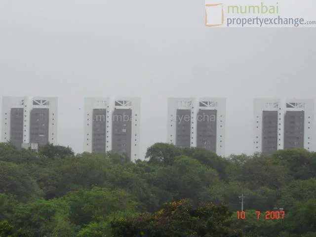 11 July 2007