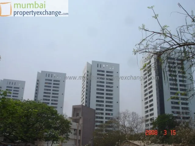 15 March 08