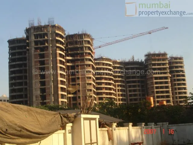 16 January 2007